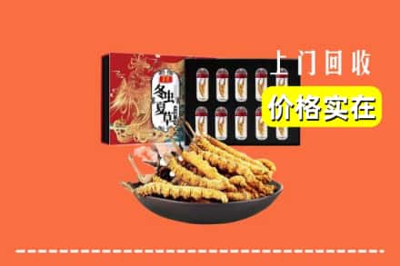 焦作市修武回收冬虫夏草